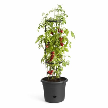 Tomatpotte elho green basics ø33cm